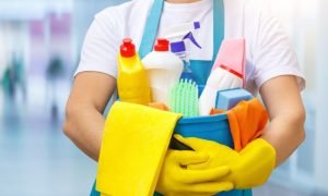 Lee más sobre el artículo Seguridad social de los empleados del hogar